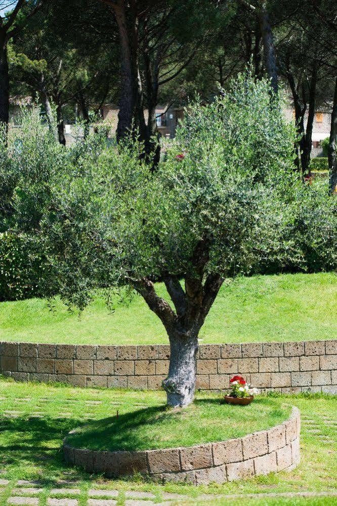 Apartment San Bartolomeo *